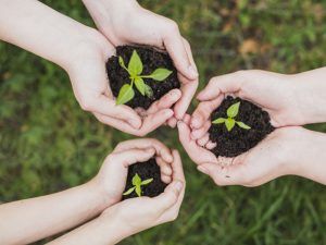 sistemas medio ambiental